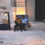 Compagnie le poil fou – 15 m²